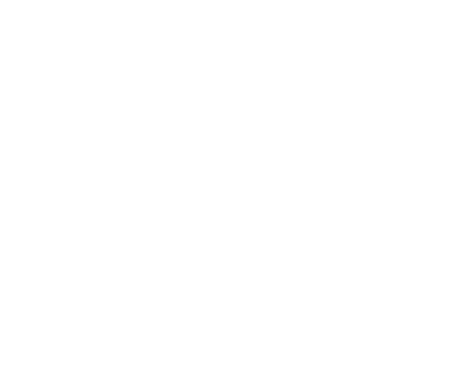 Whale Flow Hunter Logo